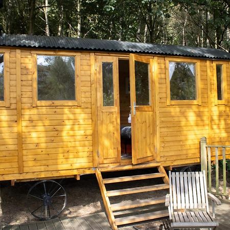 Pike'S Cabin In The Woods Hebden Bridge Buitenkant foto